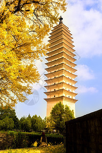 重生寺旅行旅游目的地寺庙银杏树宝塔图片