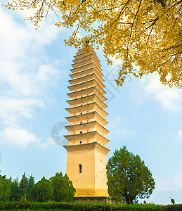 重生寺目的地旅游寺庙银杏树旅行宝塔图片