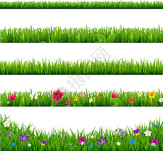 草地边界硒雏菊框架边框翠菊郁金香婚礼草架中提琴格柏手铃图片