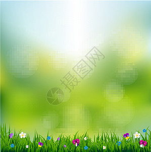 春季风景销售台地蝴蝶明信片花朵中提琴树叶甘菊邀请函插图图片