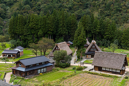 日本的白川戈传统屋宇图片