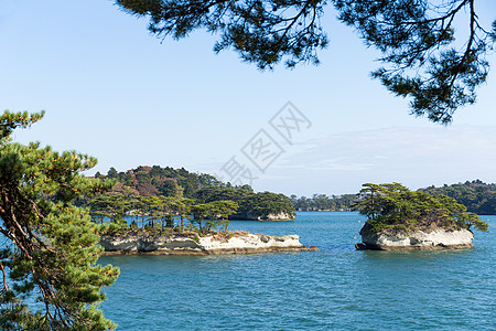 日本松岛松树观光游客天空森林地标蓝色植物航行旅游图片