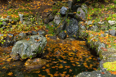 秋天传统的日本传统公园图片
