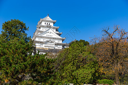 日本秋天的喜木寺城堡图片