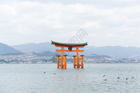 日本的国岛神社旅行橙子宗教天空传统游客神道地标日落蓝色图片