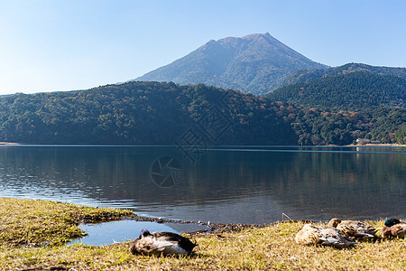 岛山天际丛林植物农村水池池塘蓝色森林火山地标图片