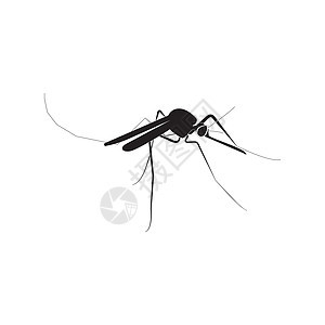 蚊子黑色图标传染性控制寄生吸血动物疟疾感染寄生虫生物学发烧图片