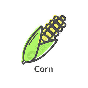 玉米细线矢量图标 用于菜单 标签 徽标的孤立玉米蔬菜线性样式 简单的素食食品标志植物营养市场产品花园棒子食物插图玉米芯标识图片