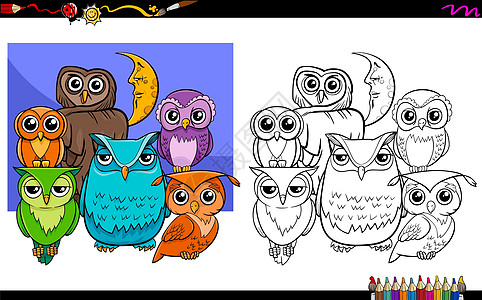 猫头鹰鸟字鸟类字符组彩色本图片