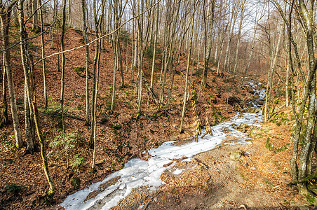 冬季森林中冰冻的河流旅行蓝色石头公园白色岩石溪流天气风景流动图片