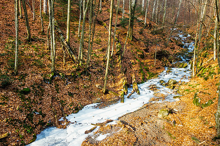 冬季森林中冰冻的河流白色旅行流动季节风景岩石溪流天气蓝色公园图片