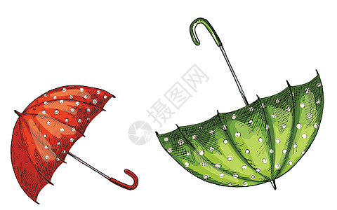 两只绿伞和红伞都打开了 白底隔离的红色雨伞图片
