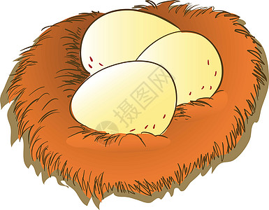 Cartoon 鸡蛋和筑巢剪插图     矢量说明图片