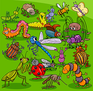 动物性格组(Carticta 昆虫)图片
