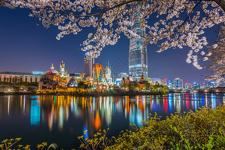 佛山千灯湖韩国首尔的春花樱花背景