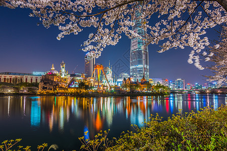 韩国首尔的春花樱花图片