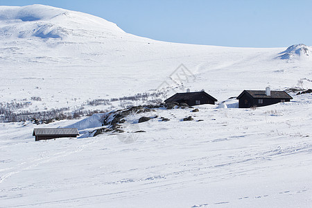 温冬约顿海明国家公园林地星系视图星域森林极地雪山场景星空气候图片