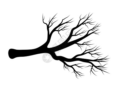光秃秃的分支矢量符号图标设计 美丽的插图我绘画标识枝条卡片树干森林卡通片植物植物学树枝图片