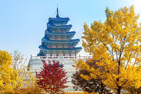 韩国首尔京博肯宫秋天木头历史城市宝塔艺术古董森林旅游场景花园图片