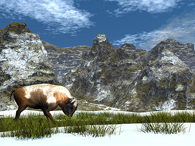 山中的野牛 - 3D rende图片