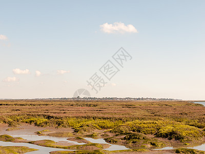 沼泽地风景景观 远在前村的天线上图片