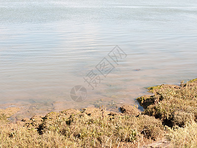 河流边缘潮水涌上移动的风景景观图片