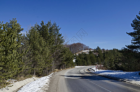 维托沙山带路的松树和枯萎森林冬季全景景观旅行季节蓝色荒野爬坡木头阴影衬套天气天空图片