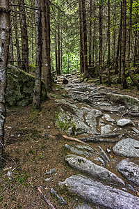 rocky 漫行道路图片