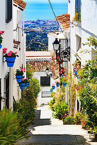 Mijas Andaluc的鲜花和植物壶街近距离拍摄图片