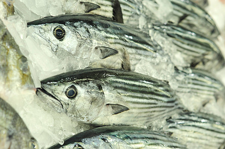 鱼类市场鲣鱼海鲜食物高清图片