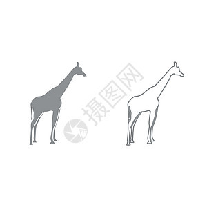 Giraffe 灰色套件图标背景图片