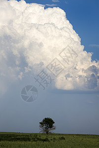 加拿大风暴云荒野风暴天气戏剧性风景天空场景雷雨草原危险图片