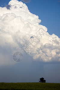 加拿大风暴云风暴天气风景危险场景天空草原雷雨戏剧性荒野图片