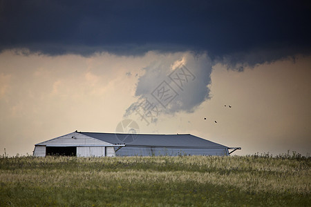 加拿大风暴云戏剧性荒野场景风暴风景天空天气危险草原雷雨图片