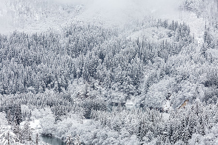冬季风景狂喜花园旅行公园孤独栅栏时间木材两极冻结季节图片