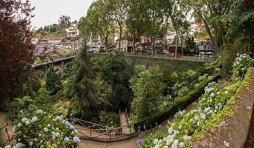 蒙特宫热带花园绿色美丽植物学花园娱乐叶子公园旅行热带植物图片