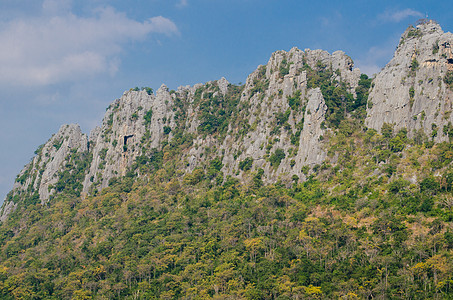 山树石灰岩山森林公园岩石旅行风景绿色爬坡地质学悬崖石灰石背景