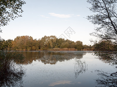 美丽的湖泊地貌景观水面 有秋树和Ree天空观光风景反射反思鸭塘蓝色森林旅游环境图片