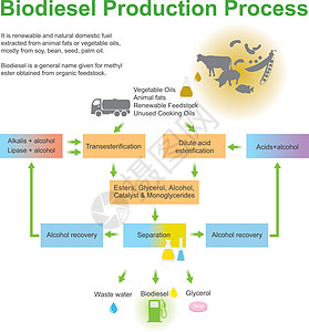 生物柴油生产工艺图片