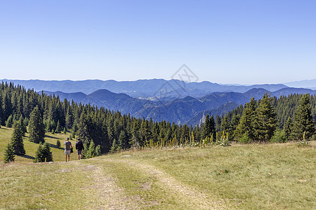 保加利亚 RHODOPE 山顶夏天天空蓝色游客旅游小路绿色登山登山者乡村生活图片