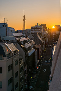 东京天树日出蓝色地标墨田太阳风景景观日落天空市中心建筑图片