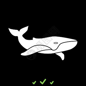 鲸鱼是白色的图标孤独游泳野生动物生物学生物动物群海洋潜水捕食者生活图片