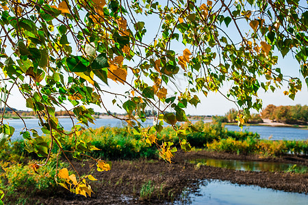 秋秋假hdr季节小路树叶树木踪迹国家森林公园豪杰花园图片