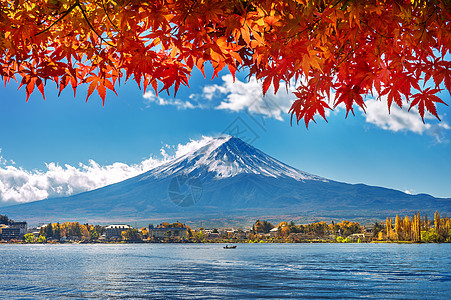 日本川口子湖的秋季和藤山旅游反射公吨地标季节树叶天空风景火山叶子图片