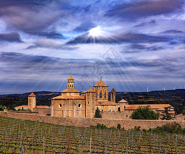 西班牙圣玛丽亚德波布利特修道院宗教阳光葡萄园大教堂建筑学射线旅行路线石头窗户图片