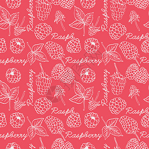 Raspberry 图形颜色无缝图案插图图片