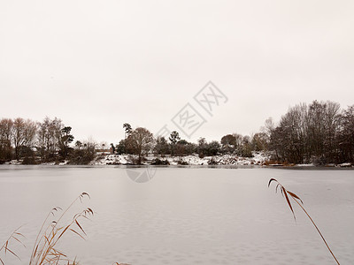 寒冷的冬季湖 在外边的国家树上树木池塘季节风景旅行天空森林场景荒野场地图片