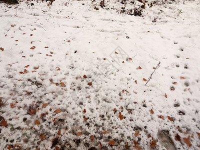 雪背景地板冬天外面国家森林领域组织寒意雪堆水晶冻结雪花季节地面天气大雪墙纸图片