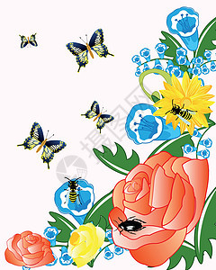 鲜花和昆虫花瓣叶子绝缘动物群白色花束玫瑰背景蝴蝶漏洞背景图片