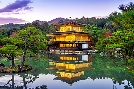 金殿 日本京都的九角寺庙建筑游客地标森林神社金子宗教建筑学遗产季节图片